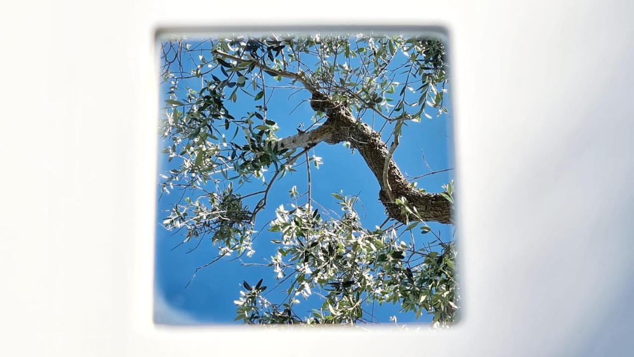 Gasthaus Pietrefitte Ostuni Exterior foto